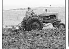 Jewell County Plow Day makes for another great event